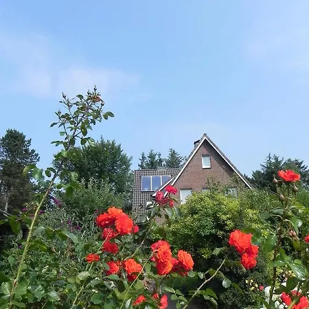 Haus *ueues Aran* Nr. 6 *